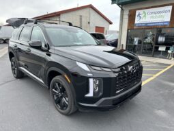 2024 Hyundai Palisade XRT | Freedom Motors Power Rear Entry Wheelchair Accessible SUV full